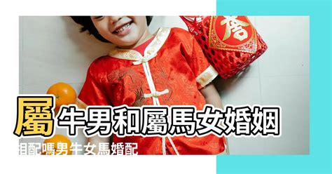 牛女馬男|八字配對：屬牛男與屬馬女合得來嗎 結婚會怎樣